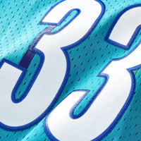 Alonzo Mourning Charlotte Hornets Basketball Jersey, Swingman Sportswear Jersey Shirt, Sleeveless Athletic Tank Jersey, Casual Gift for Men