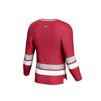 Saint Joseph's Hawks Hockey Jersey, Crimson Sportswear Jersey Shirt, Long Sleeve Hockey Sweater Jersey, Casual Gift for Men