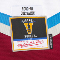 Joe Sakic Colorado Avalanche Hockey Jersey, Sportswear Jersey Shirt, Long Sleeve Hockey Sweater Jersey, Casual Gift for Men, Style 201979142