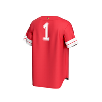 Illinois State Redbirds Baseball Jersey, Red Fashion Sportswear Jersey Shirt, Lightweight Breathable Athletic Jersey, Casual Gift for Men
