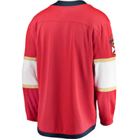 Florida Panthers Hockey Jersey, Red Breakaway Sportswear Jersey Shirt, Long Sleeve Hockey Sweater Jersey, Casual Gift for Men, Style 2793233