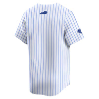 Kentucky Wildcats Baseball Jersey, White Limited Sportswear Jersey Shirt, Lightweight Breathable Athletic Jersey, Casual Gift for Men