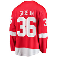 John Gibson Detroit Red Wings Hockey Jersey, Breakaway Home Sportswear Jersey Shirt, Long Sleeve Hockey Sweater Jersey, Casual Gift for Men