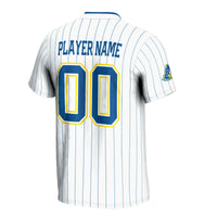 Delaware Fightin' Blue Hens Softball Jersey, White Sportswear Jersey Shirt, Lightweight Breathable Athletic Jersey, Casual Gift for Men