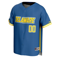 Delaware Fightin' Blue Hens Baseball Jersey, Sportswear Jersey Shirt, Lightweight Athletic Jersey, Casual Gift for Men, Style 201274393