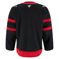 Ottawa Senators Hockey Jersey, Black Authentic Sportswear Jersey Shirt, Long Sleeve Hockey Sweater Jersey, Casual Gift for Men, Style 201897979