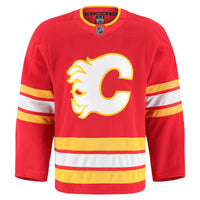 Calgary Flames Hockey Jersey, Red Authentic Sportswear Jersey Shirt, Long Sleeve Hockey Sweater Jersey, Casual Gift for Men, Style 201897994