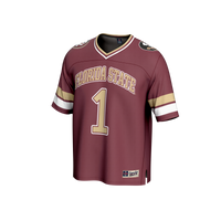 Florida State Seminoles Football Jersey, Sportswear Jersey Shirt, Lightweight Breathable Athletic Jersey, Casual Gift for Men, Style 202183819