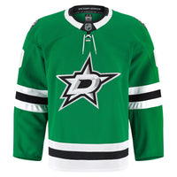 Dallas Stars Hockey Jersey, Kelly Green Sportswear Jersey Shirt, Long Sleeve Hockey Sweater Jersey, Casual Gift for Men, Style 202056775