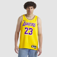 Lebron James Los Angeles Lakers Basketball Jersey, Sportswear Jersey Shirt, Sleeveless Athletic Jersey, Casual Gift for Men, Style 202220008