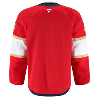 Florida Panthers Hockey Jersey, Red Authentic Sportswear Jersey Shirt, Long Sleeve Hockey Sweater Jersey, Casual Gift for Men, Style 201897996