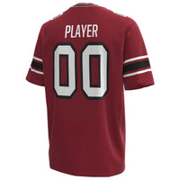 South Carolina Gamecocks Football Jersey, Sportswear Jersey Shirt, Lightweight Breathable Athletic Jersey, Casual Gift for Men, Style 202155510