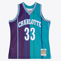 Charlotte Hornets Basketball Jersey, Swingman Sportswear Jersey Shirt, Sleeveless Athletic Tank Jersey, Casual Gift for Men, Style 204329808