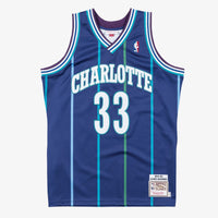Authentic Jersey Charlotte Hornets Basketball Jersey, Alternate Sportswear Jersey Shirt, Sleeveless Athletic Tank Jersey, Casual Gift for Men