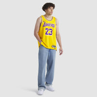 Lebron James Los Angeles Lakers Basketball Jersey, Sportswear Jersey Shirt, Sleeveless Athletic Jersey, Casual Gift for Men, Style 202220008