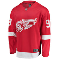 Alex DeBrincat Detroit Red Wings Hockey Jersey, Breakaway Sportswear Jersey Shirt, Long Sleeve Hockey Sweater Jersey, Casual Gift for Men
