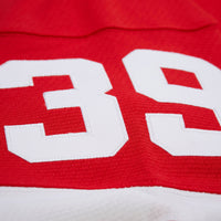 Dominik Hasek Detroit Red Wings Hockey Jersey, Hockey Sportswear Jersey Shirt, Long Sleeve Hockey Sweater Jersey, Casual Gift for Men