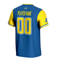 Delaware Fightin' Blue Hens Softball Jersey, Royal Sportswear Jersey Shirt, Lightweight Breathable Athletic Jersey, Casual Gift for Men