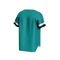 Coastal Carolina Chanticleers Baseball Jersey, Sportswear Jersey Shirt, Lightweight Athletic Jersey, Casual Gift for Men, Style 202910520
