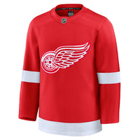 Detroit Red Wings Hockey Jersey, Premium Home Sportswear Jersey Shirt, Long Sleeve Hockey Sweater Jersey, Casual Gift for Men, Style 202015688
