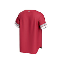 Saint Joseph's Hawks Baseball Jersey, Crimson Sportswear Jersey Shirt, Lightweight Breathable Athletic Jersey, Casual Gift for Men