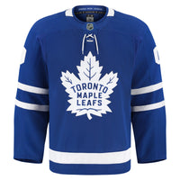 Toronto Maple Leafs Hockey Jersey, Blue Sportswear Jersey Shirt, Long Sleeve Hockey Sweater Jersey, Casual Gift for Men, Style 202056762