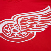 Dominik Hasek Detroit Red Wings Hockey Jersey, Hockey Sportswear Jersey Shirt, Long Sleeve Hockey Sweater Jersey, Casual Gift for Men