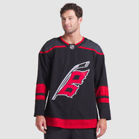 Carolina Hurricanes Hockey Jersey, Black Sportswear Jersey Shirt, Long Sleeve Hockey Sweater Jersey, Casual Gift for Men, Style 202015704