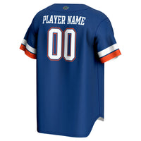Florida Gators Baseball Jersey, Royal Sportswear Jersey Shirt, Lightweight Breathable Athletic Jersey, Casual Gift for Men, Style 202883952