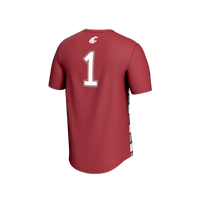 Washington State Cougars Soccer Jersey, Sportswear Jersey Shirt, Lightweight Breathable Athletic Jersey, Casual Gift for Men, Style 203152710
