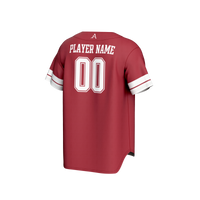 Arkansas Razorbacks Baseball Jersey, Sportswear Jersey Shirt, Lightweight Breathable Athletic Jersey, Casual Gift for Men, Style 202415174