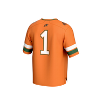 Florida A&M Rattlers Collegiate Football Jersey, Orange Sportswear Jersey Shirt, Lightweight Breathable Athletic Jersey, Casual Gift for Men