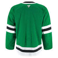 Dallas Stars Hockey Jersey, Kelly Green Sportswear Jersey Shirt, Long Sleeve Hockey Sweater Jersey, Casual Gift for Men, Style 201898001