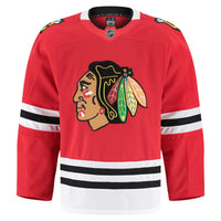 Chicago Blackhawks Hockey Jersey, Red Authentic Sportswear Jersey Shirt, Long Sleeve Hockey Sweater Jersey, Casual Gift for Men, Style 201897981