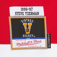 Detroit Red Wings Hockey Jersey, Hockey Sportswear Jersey Shirt, Long Sleeve Hockey Sweater Jersey, Casual Gift for Men, Style 201979062