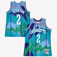 Charlotte Hornets Basketball Jersey, Blue Swingman Sportswear Jersey Shirt, Sleeveless Athletic Tank Jersey, Casual Gift for Men