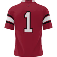 Arkansas Razorbacks Football Jersey, Sportswear Jersey Shirt, Lightweight Breathable Athletic Jersey, Casual Gift for Men, Style 200425263