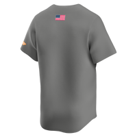 Tennessee Volunteers Baseball Jersey, Gray Limited Sportswear Jersey Shirt, Lightweight Breathable Athletic Jersey, Casual Gift for Men