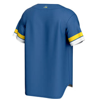 Delaware Fightin' Blue Hens Baseball Jersey, Sportswear Jersey Shirt, Lightweight Athletic Jersey, Casual Gift for Men, Style 202016109