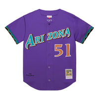 Randy Johnson Arizona Diamondbacks Baseball Jersey, Purple Sportswear Jersey Shirt, Lightweight Breathable Athletic Jersey, Casual Gift for Men