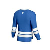 Saint Louis Billikens Hockey Jersey, Blue Sportswear Jersey Shirt, Long Sleeve Hockey Sweater Jersey, Casual Gift for Men