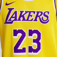 Lebron James Los Angeles Lakers Basketball Jersey, Sportswear Jersey Shirt, Sleeveless Athletic Jersey, Casual Gift for Men, Style 202220008
