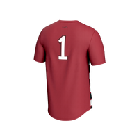 Arkansas Razorbacks Lightweight Soccer Jersey, Cardinal Sportswear Jersey Shirt, Lightweight Breathable Athletic Jersey, Casual Gift for Men
