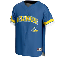 Delaware Fightin' Blue Hens Baseball Jersey, Sportswear Jersey Shirt, Lightweight Athletic Jersey, Casual Gift for Men, Style 202016109