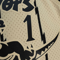 Toronto Raptors Basketball Jersey, Khaki Swingman Sportswear Jersey Shirt, Sleeveless Athletic Tank Jersey, Casual Gift for Men