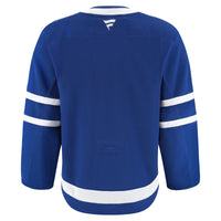 Toronto Maple Leafs Hockey Jersey, Blue Sportswear Jersey Shirt, Long Sleeve Hockey Sweater Jersey, Casual Gift for Men, Style 201897986