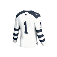 Penn State Nittany Lions Hockey Jersey, White Sportswear Jersey Shirt, Long Sleeve Hockey Sweater Jersey, Casual Gift for Men, Style 203579912