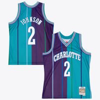 Charlotte Hornets Basketball Jersey, Swingman Sportswear Jersey Shirt, Sleeveless Athletic Tank Jersey, Casual Gift for Men, Style 204329807