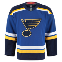 St. Louis Blues Hockey Jersey, Blue Authentic Sportswear Jersey Shirt, Long Sleeve Hockey Sweater Jersey, Casual Gift for Men, Style 203380483