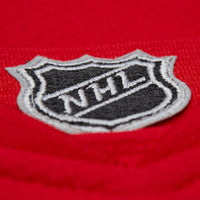 Dominik Hasek Detroit Red Wings Hockey Jersey, Hockey Sportswear Jersey Shirt, Long Sleeve Hockey Sweater Jersey, Casual Gift for Men
